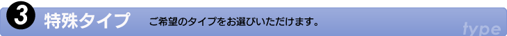 3.特殊タイプ　ご希望のタイプをお選びいただけます。